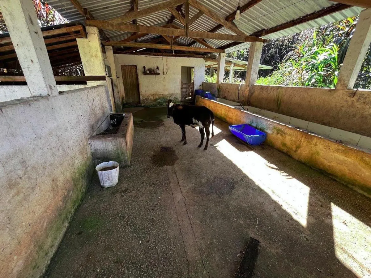 Small farm for sale of 39 acres in São Luiz do Paraitinga, SP, Brazil