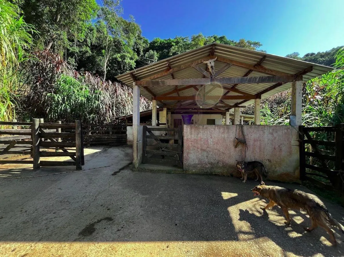 Small farm for sale of 39 acres in São Luiz do Paraitinga, SP, Brazil