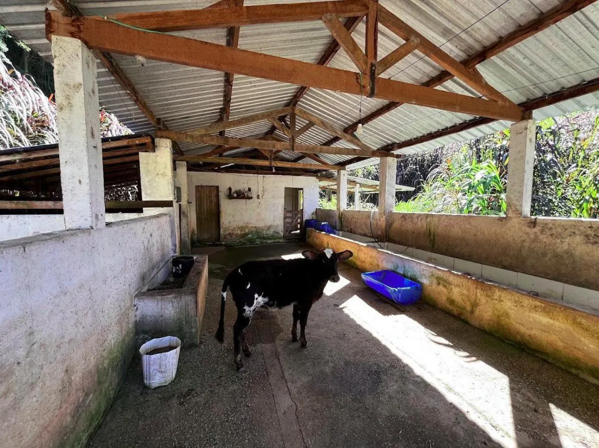 Small farm for sale of 39 acres in São Luiz do Paraitinga, SP, Brazil