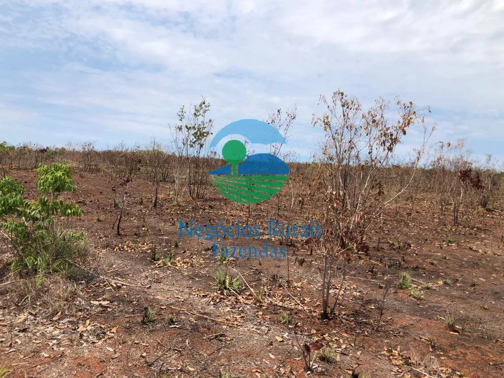 Fazenda à venda de 1.026 ha em Jaú do Tocantins, TO, Brasil