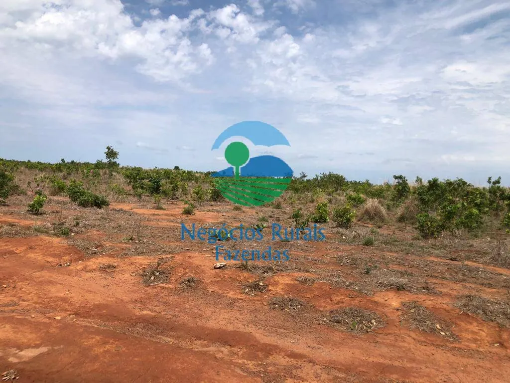 Fazenda à venda de 1.026 ha em Jaú do Tocantins, TO, Brasil