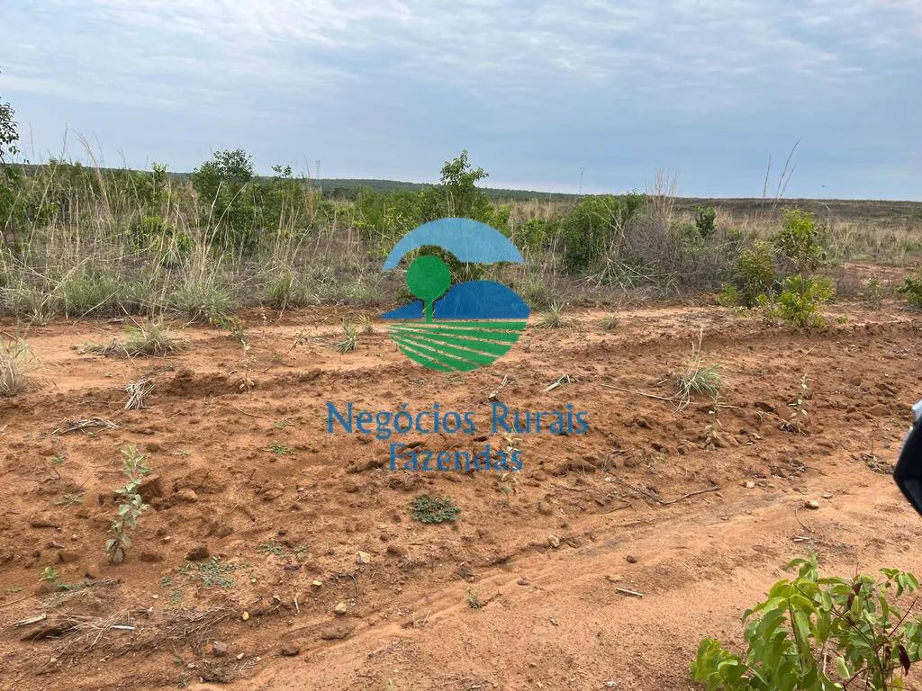 Fazenda à venda de 1.026 ha em Jaú do Tocantins, TO, Brasil
