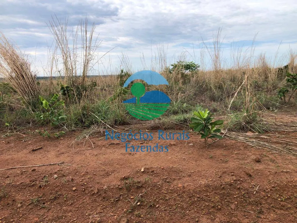 Fazenda à venda de 1.026 ha em Jaú do Tocantins, TO, Brasil