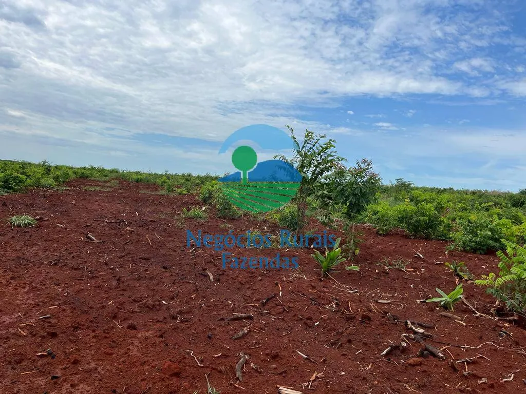 Fazenda à venda de 1.026 ha em Jaú do Tocantins, TO, Brasil