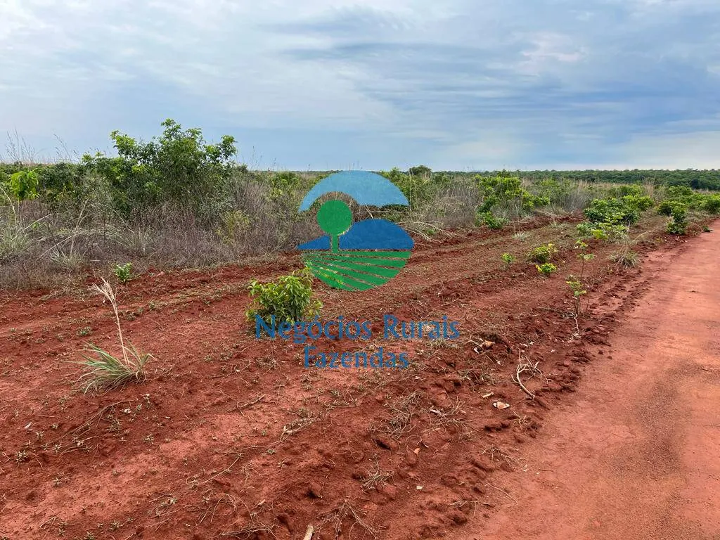 Fazenda à venda de 1.026 ha em Jaú do Tocantins, TO, Brasil