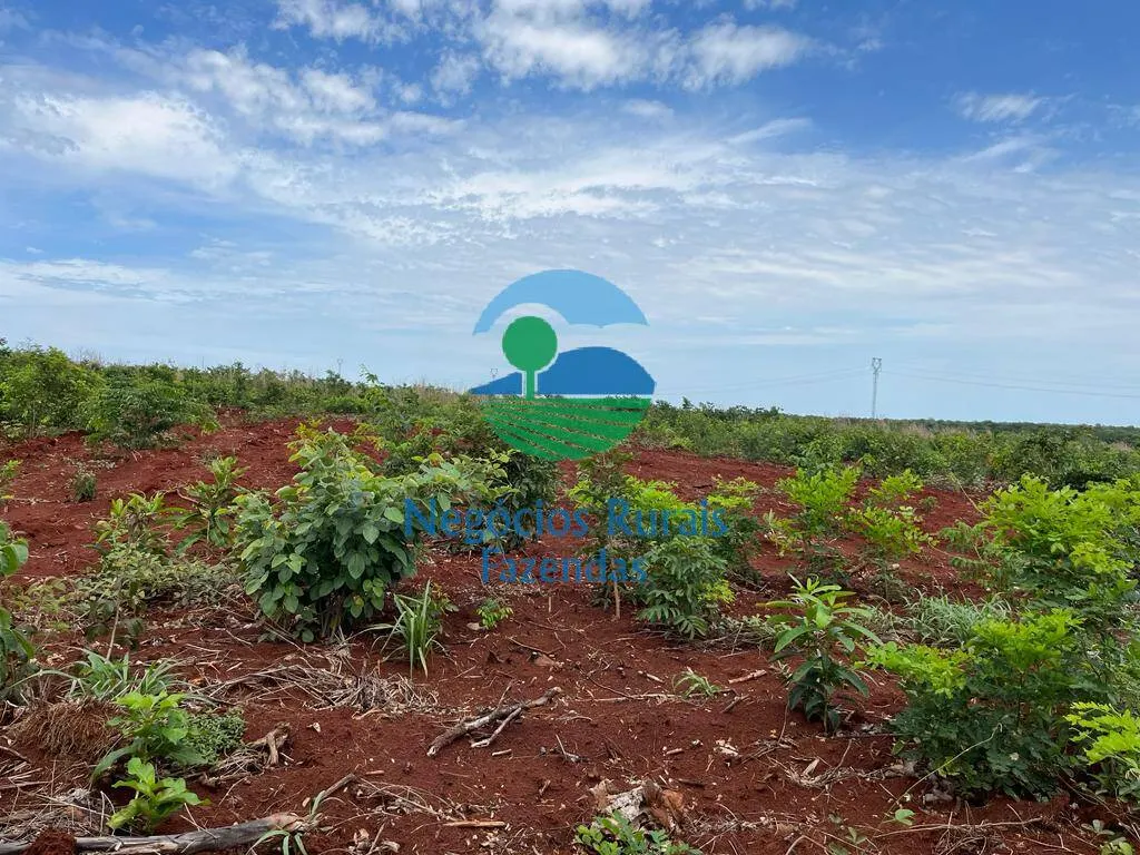 Fazenda à venda de 1.026 ha em Jaú do Tocantins, TO, Brasil