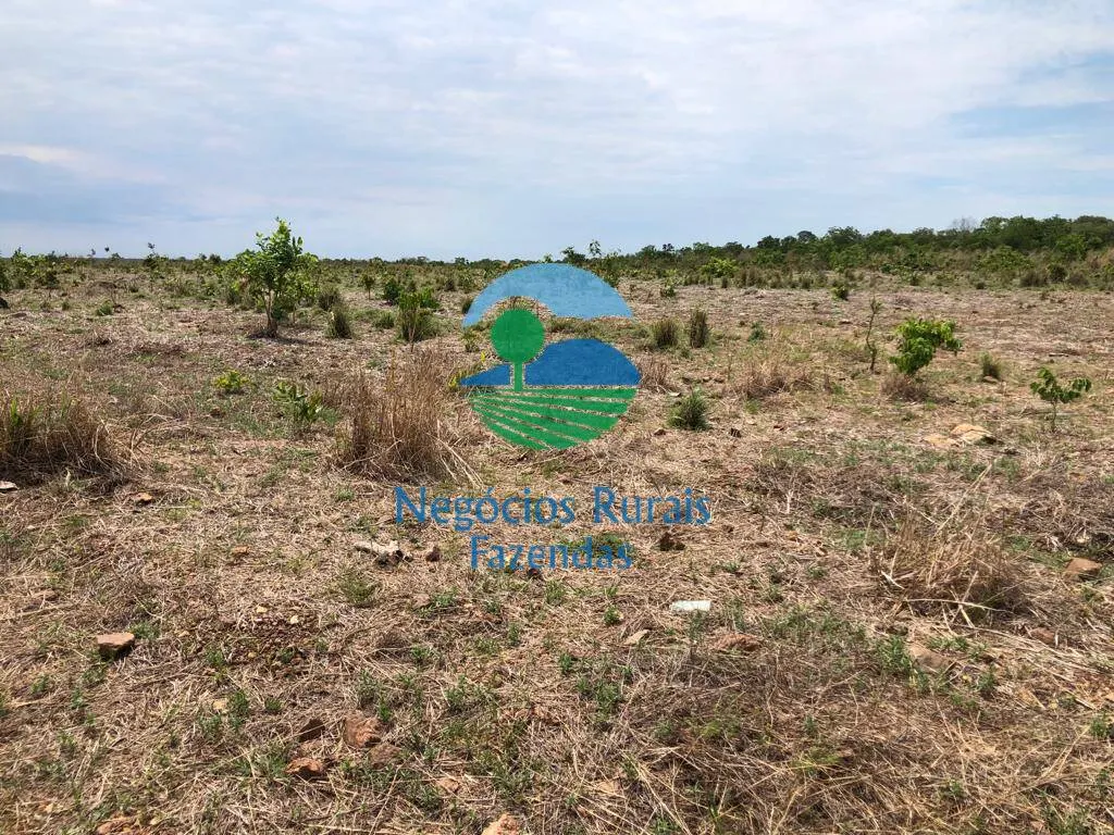 Fazenda à venda de 1.026 ha em Jaú do Tocantins, TO, Brasil
