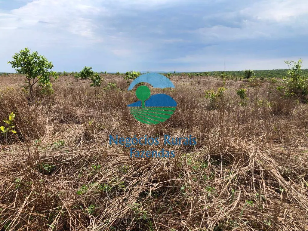 Fazenda à venda de 1.026 ha em Jaú do Tocantins, TO, Brasil