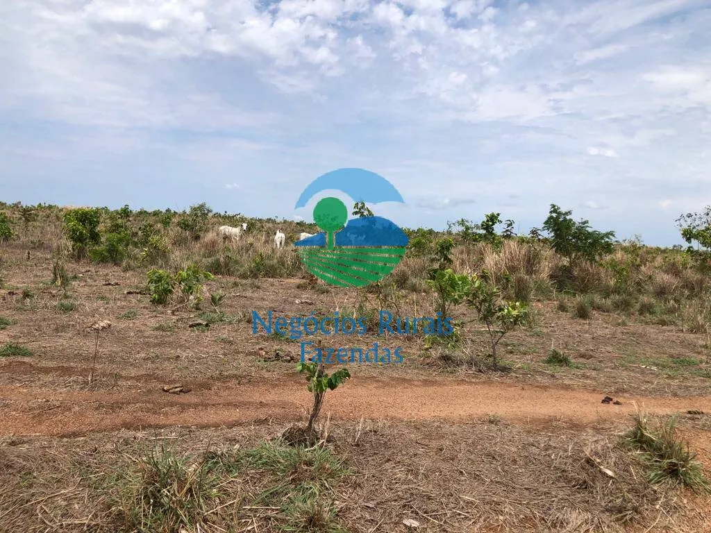 Fazenda à venda de 1.026 ha em Jaú do Tocantins, TO, Brasil