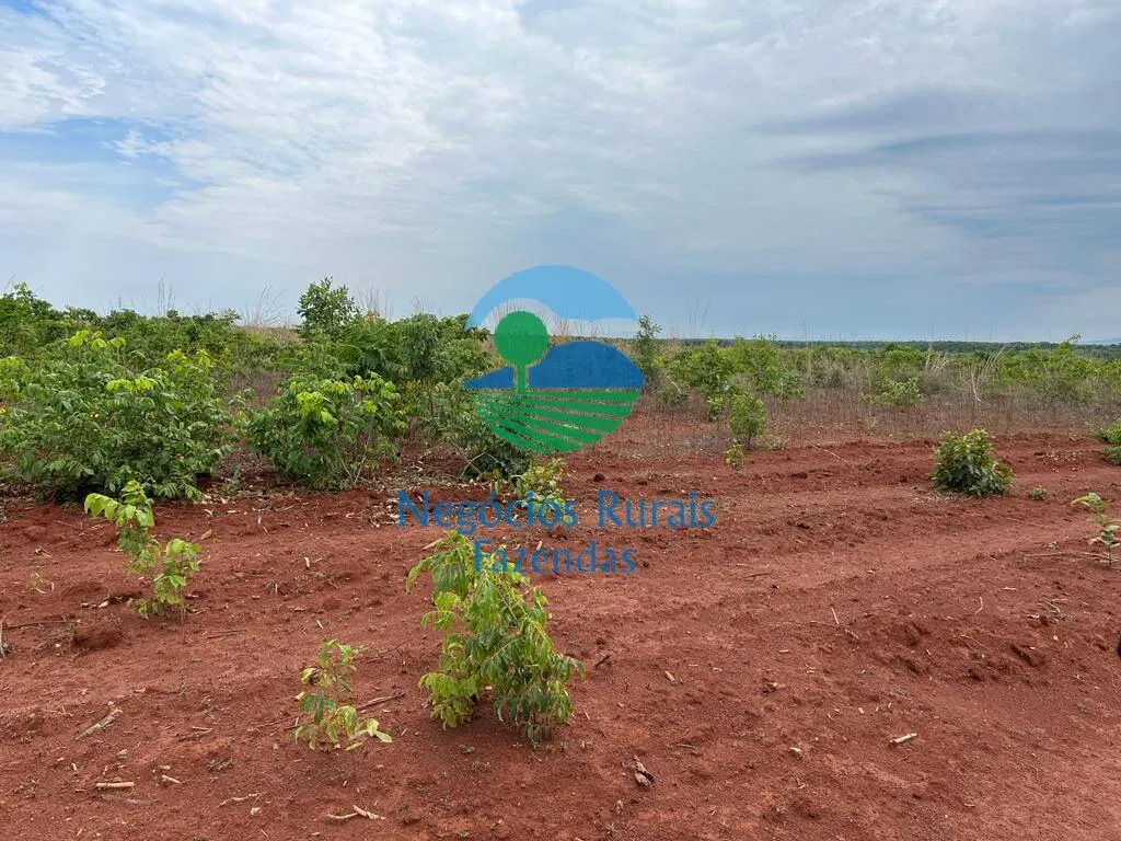 Fazenda à venda de 1.026 ha em Jaú do Tocantins, TO, Brasil
