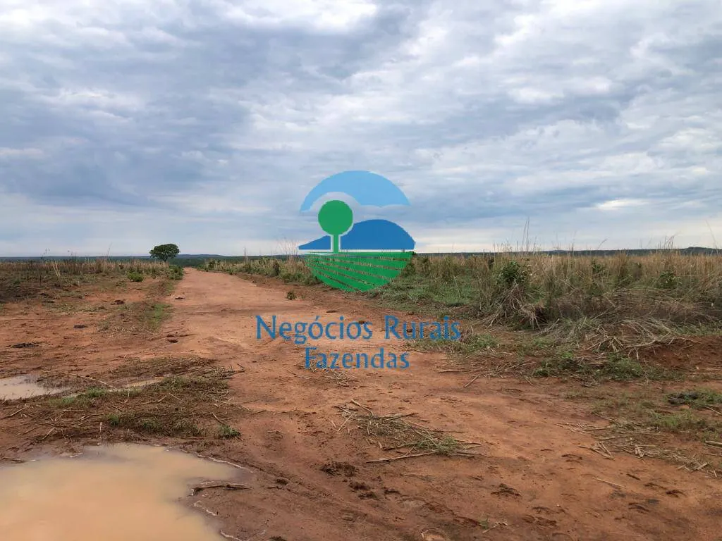 Fazenda à venda de 1.026 ha em Jaú do Tocantins, TO, Brasil