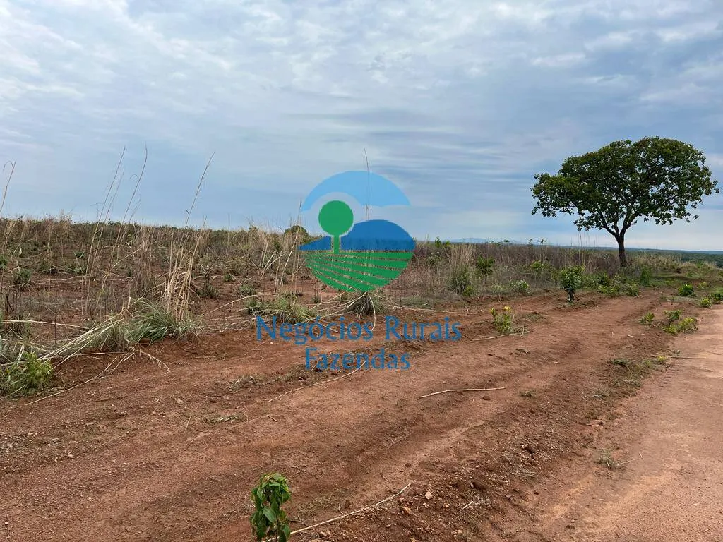 Fazenda à venda de 1.026 ha em Jaú do Tocantins, TO, Brasil