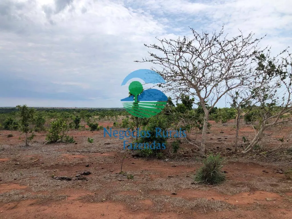 Fazenda à venda de 1.026 ha em Jaú do Tocantins, TO, Brasil