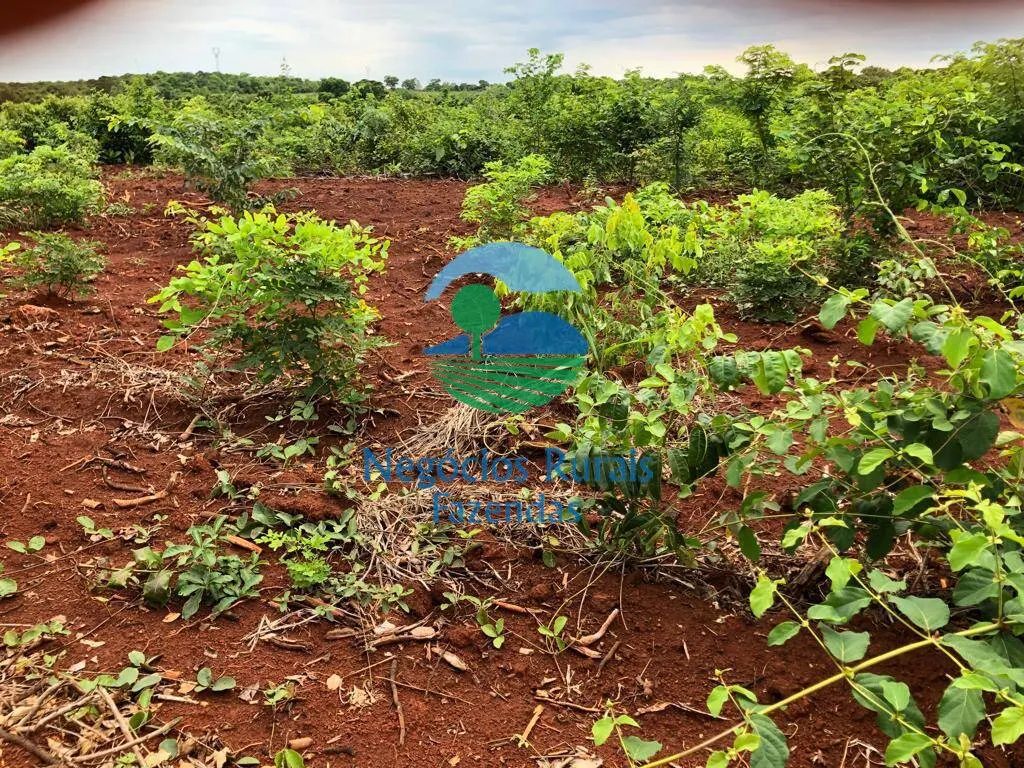 Fazenda à venda de 1.026 ha em Jaú do Tocantins, TO, Brasil