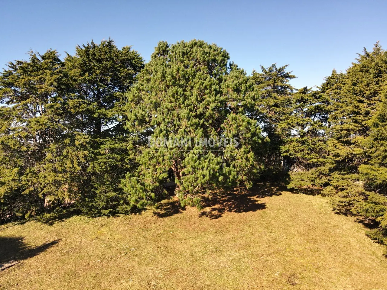 Terreno à venda de 1.170 m² em Campos do Jordão, SP, Brasil