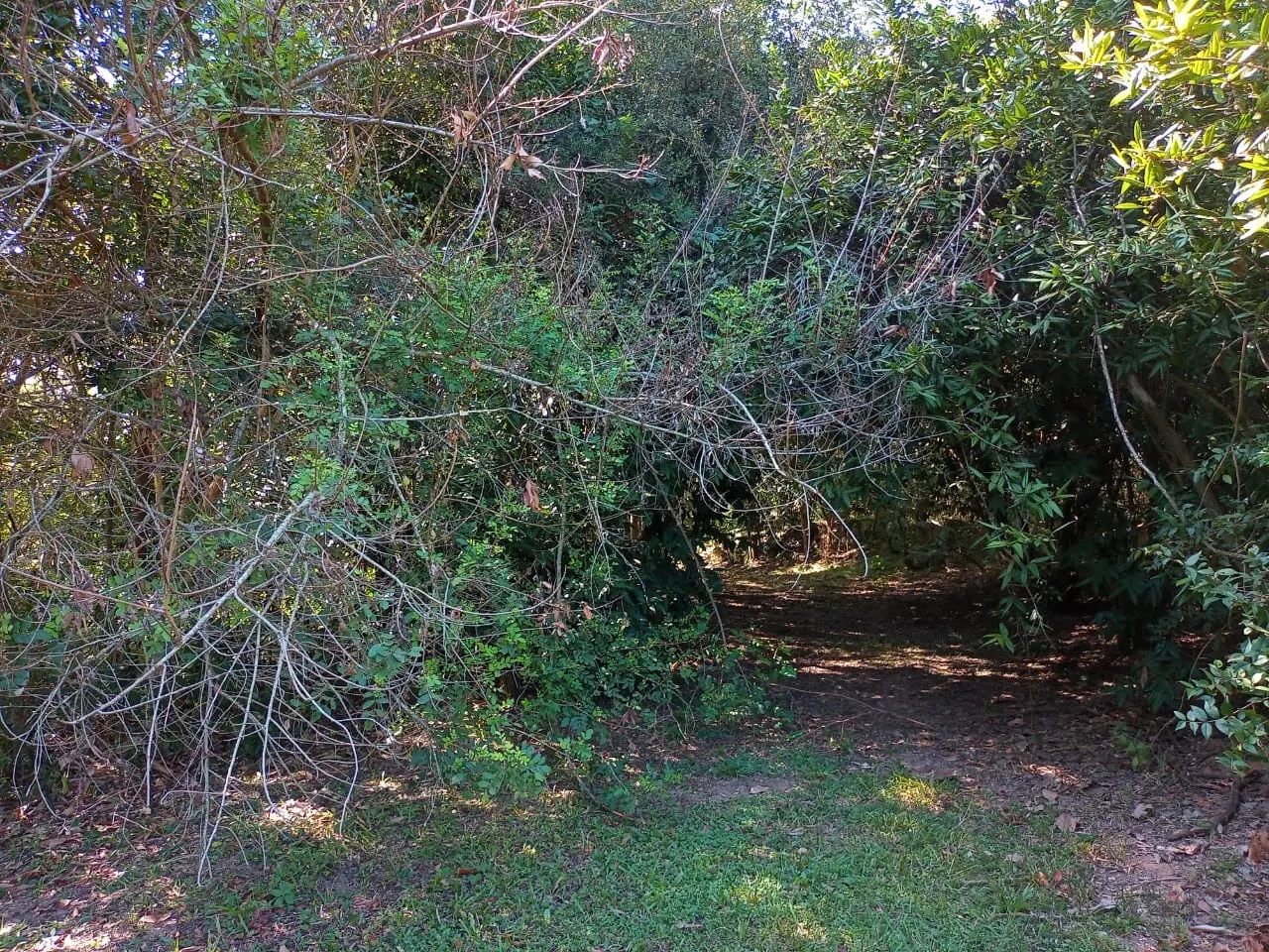 Country home for sale of 6 acres in Campinas, SP, Brazil