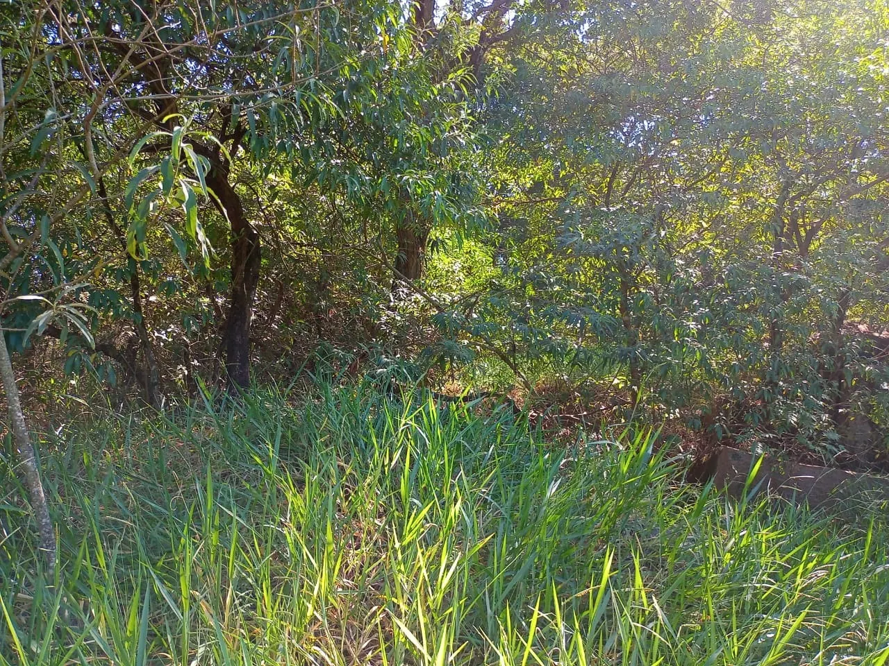 Country home for sale of 6 acres in Campinas, SP, Brazil