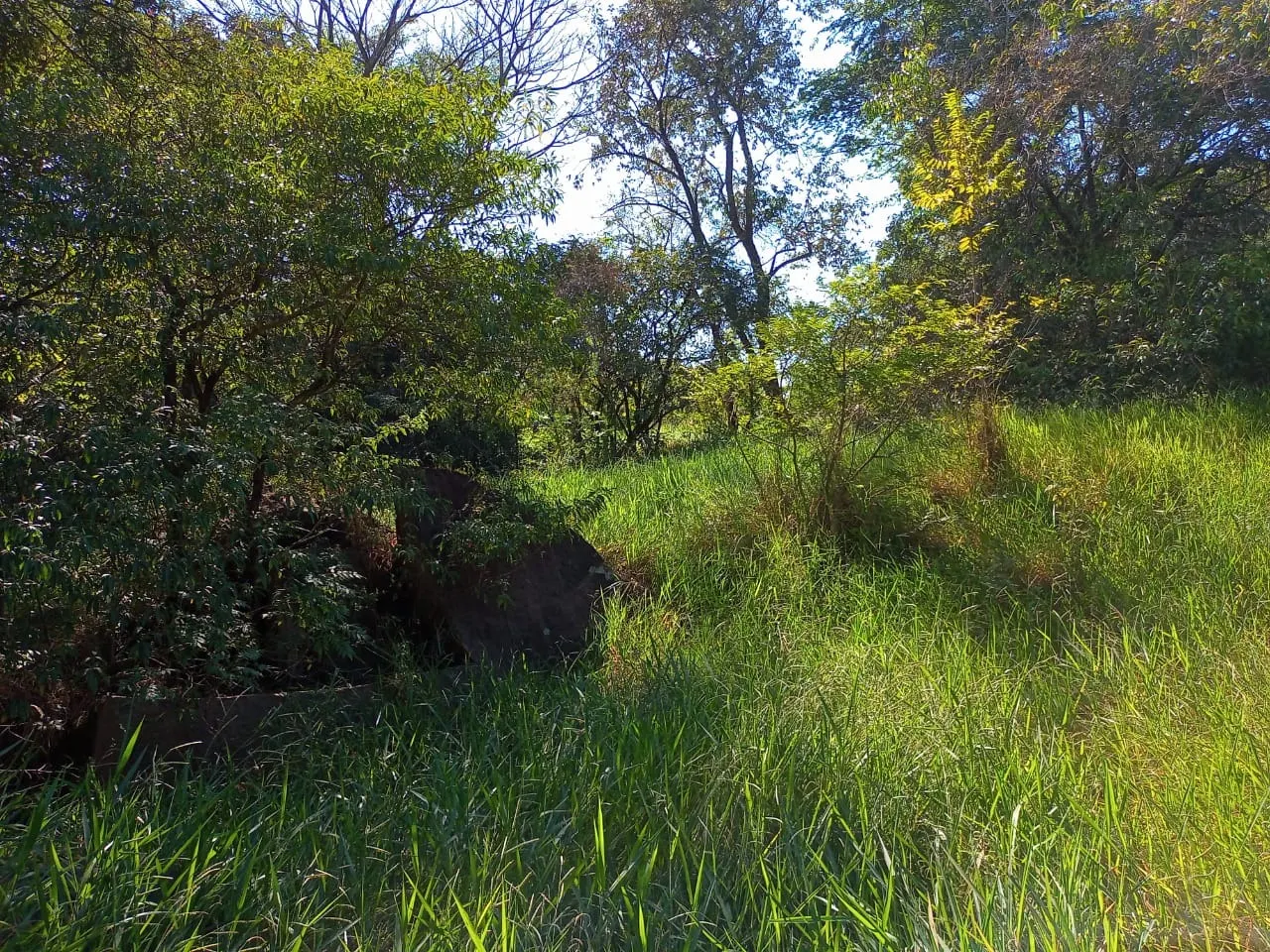 Country home for sale of 6 acres in Campinas, SP, Brazil