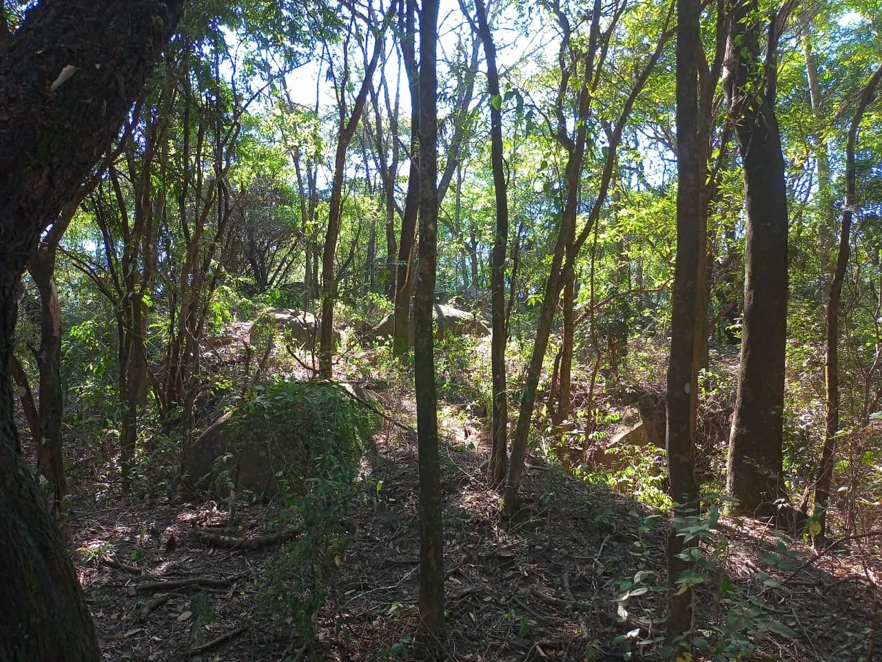 Country home for sale of 6 acres in Campinas, SP, Brazil