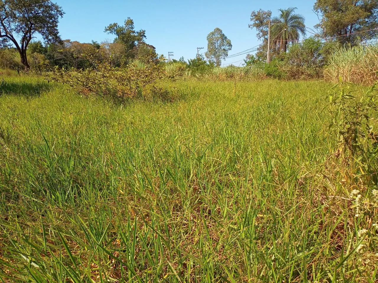 Country home for sale of 6 acres in Campinas, SP, Brazil