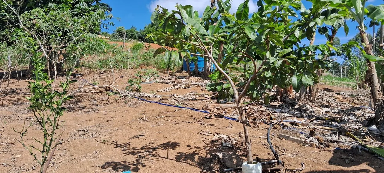 Country home for sale of 1,800 m² in Paraibuna, SP, Brazil