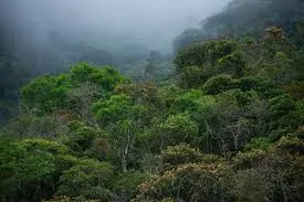 Plot for sale of 618 acres in Juquitiba, SP, Brazil