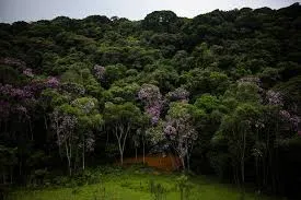 Plot for sale of 618 acres in Juquitiba, SP, Brazil