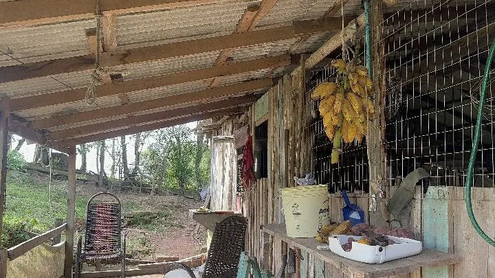 Chácara à venda de 1 ha em Taquara, RS, Brasil