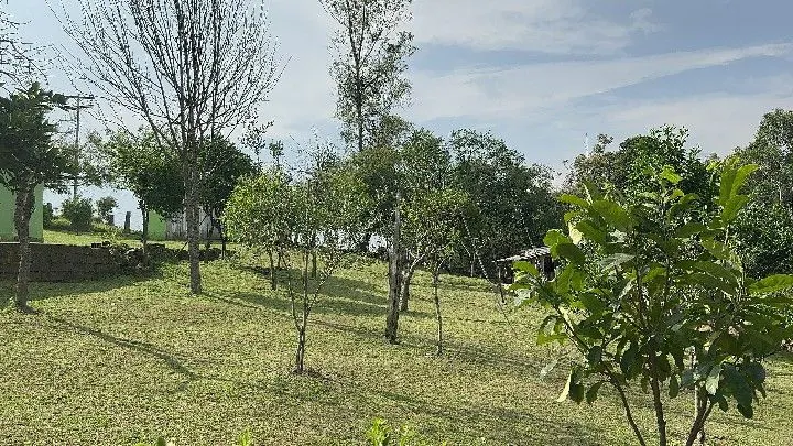 Chácara à venda de 1 ha em Taquara, RS, Brasil
