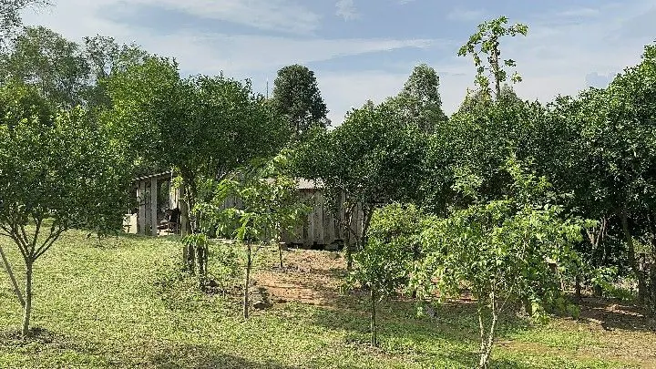 Chácara à venda de 1 ha em Taquara, RS, Brasil