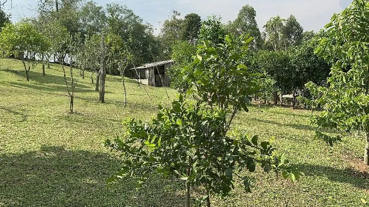 Chácara à venda de 1 ha em Taquara, RS, Brasil