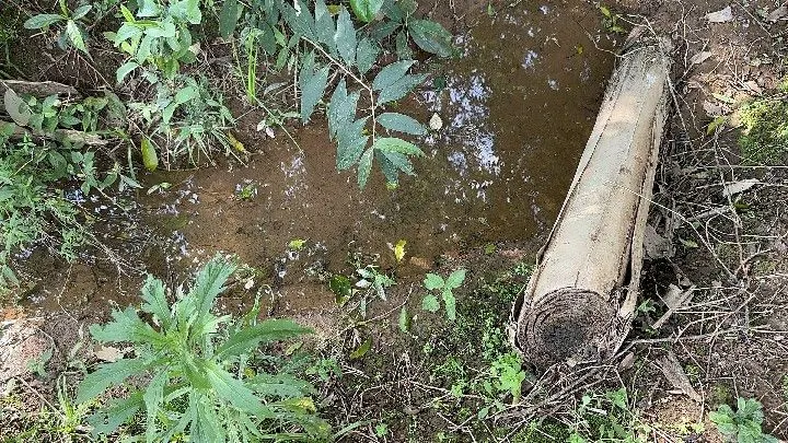 Chácara à venda de 1 ha em Taquara, RS, Brasil