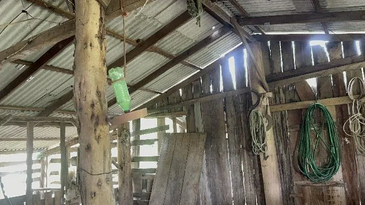 Chácara à venda de 1 ha em Taquara, RS, Brasil