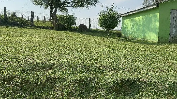 Chácara à venda de 1 ha em Taquara, RS, Brasil