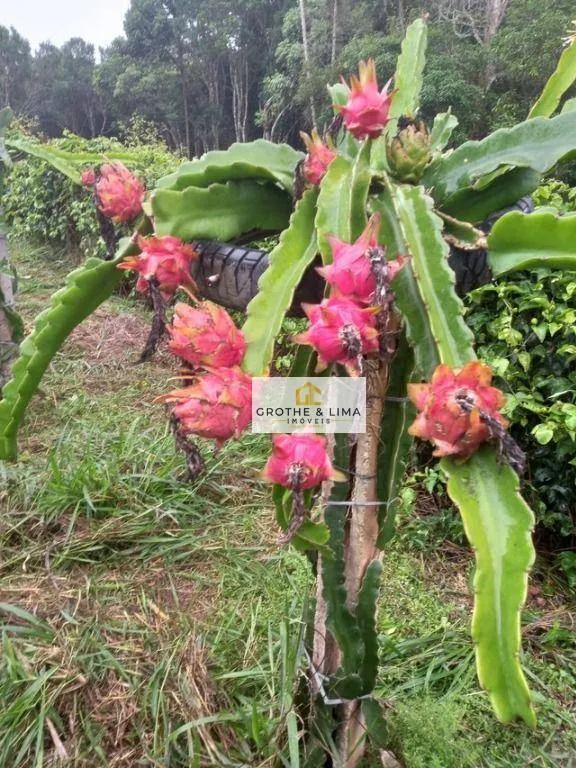 Sítio à venda de 3 ha em Jacareí, SP, Brasil