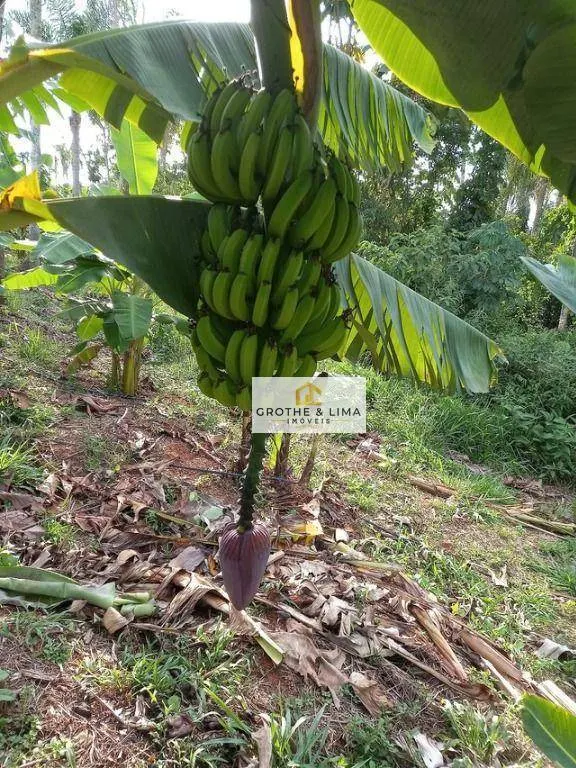 Sítio à venda de 3 ha em Jacareí, SP, Brasil