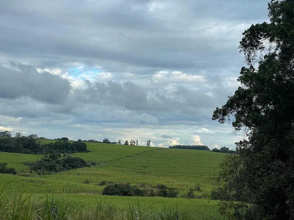 Fazenda à venda de 57 ha em Mococa, SP, Brasil