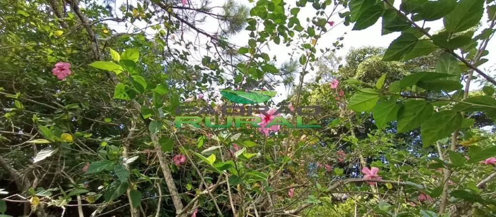 Terreno à venda de 330 m² em Mairinque, SP, Brasil