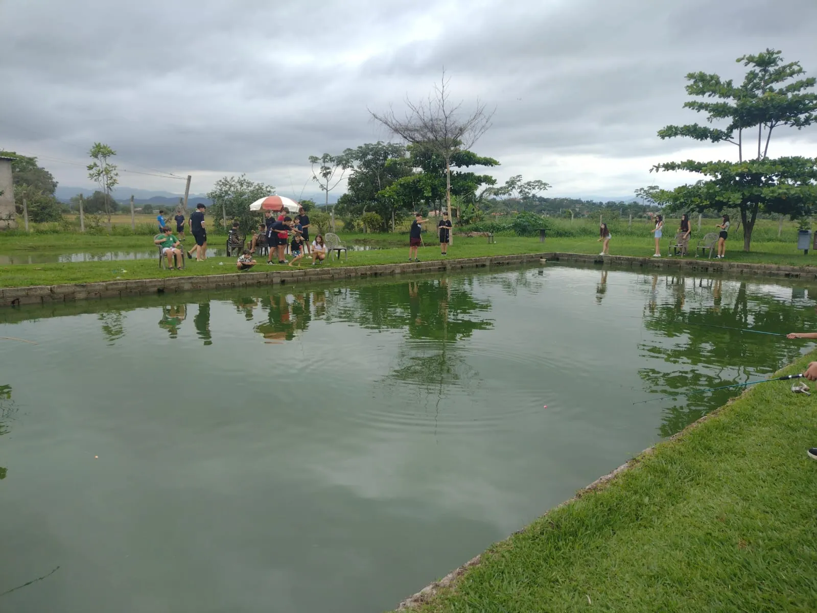 Small farm for sale of 2 acres in Guaratinguetá, SP, Brazil