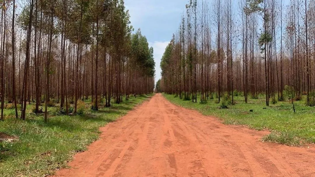 Fazenda à venda de 508 ha em Aguaí, SP, Brasil