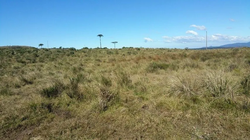 Fazenda à venda de 658 ha em Urubici, SC, Brasil
