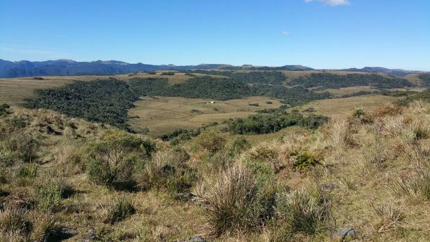 Fazenda à venda de 658 ha em Urubici, SC, Brasil