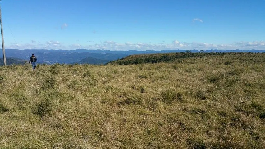 Fazenda à venda de 658 ha em Urubici, SC, Brasil