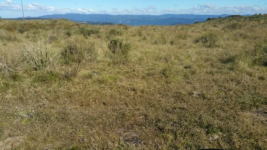 Fazenda à venda de 658 ha em Urubici, SC, Brasil