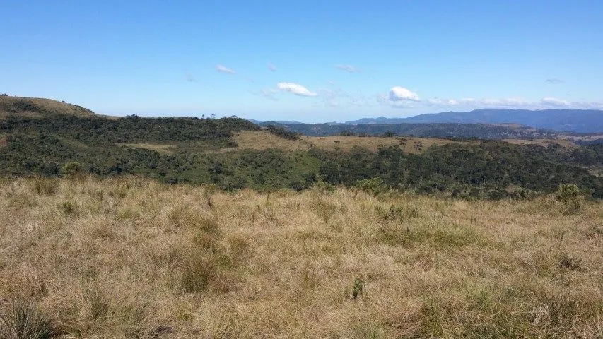 Fazenda à venda de 658 ha em Urubici, SC, Brasil