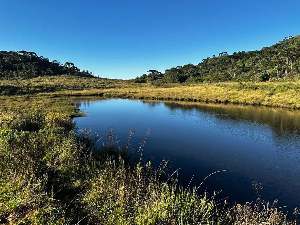 Fazenda à venda de 658 ha em Urubici, SC, Brasil