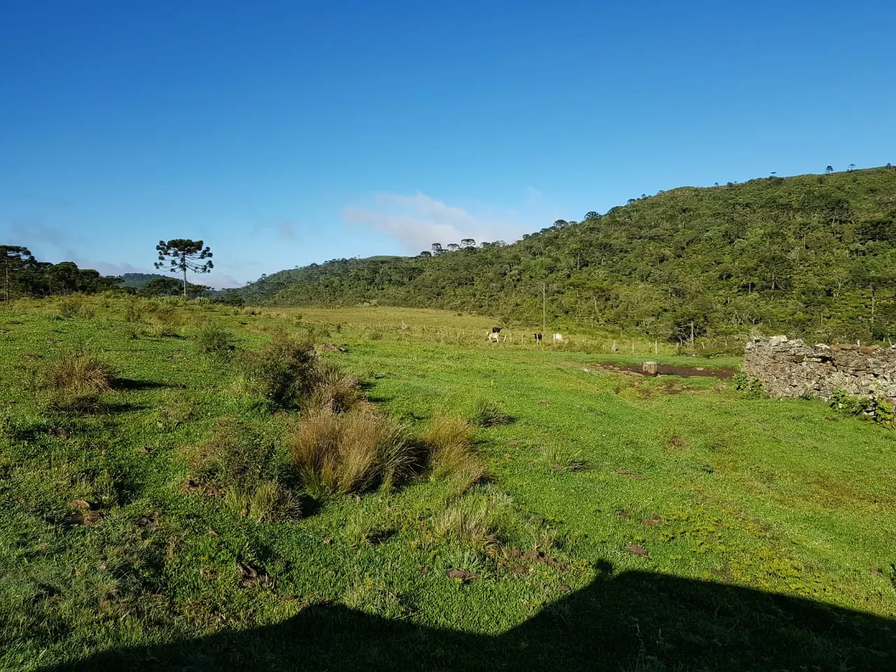 Fazenda à venda de 658 ha em Urubici, SC, Brasil