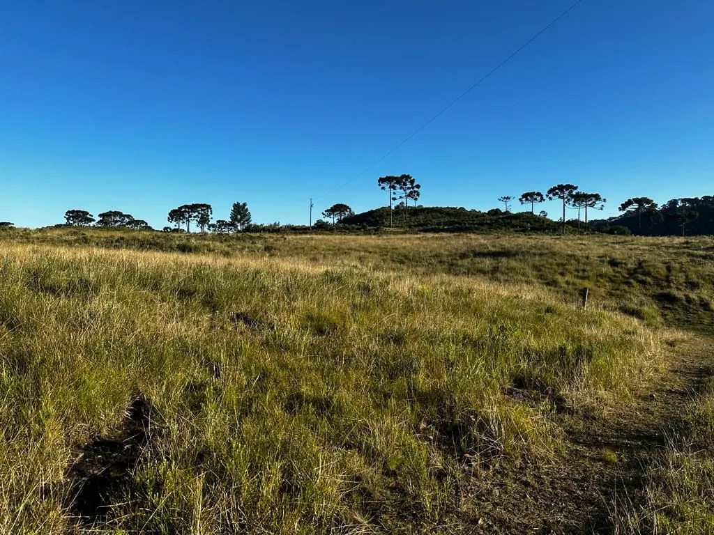 Fazenda à venda de 658 ha em Urubici, SC, Brasil