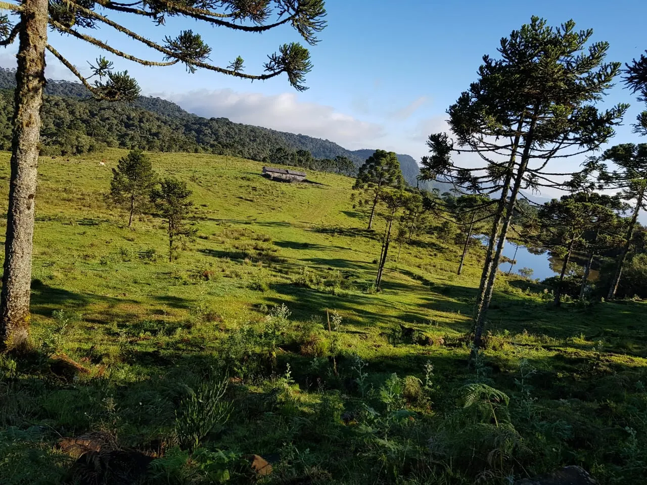 Fazenda à venda de 658 ha em Urubici, SC, Brasil
