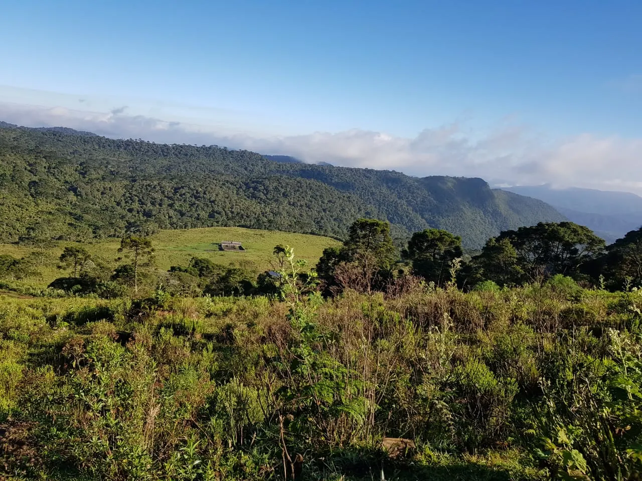 Fazenda à venda de 658 ha em Urubici, SC, Brasil